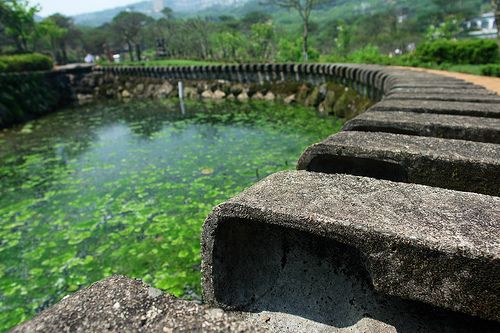 Прикольный пруд в Корее (5 фото)