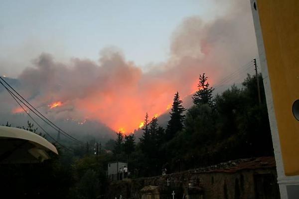 Многочисленные пожары в Греции (26 фото)