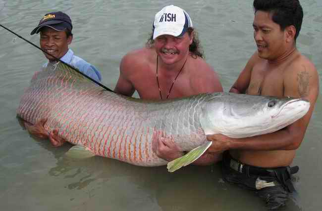 Рыбалка в Таиланде (40 фото)
