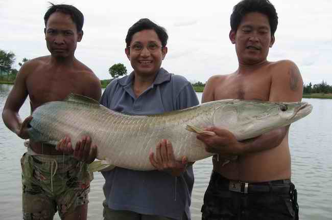 Рыбалка в Таиланде (40 фото)