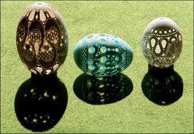  Gorgeous eggs 