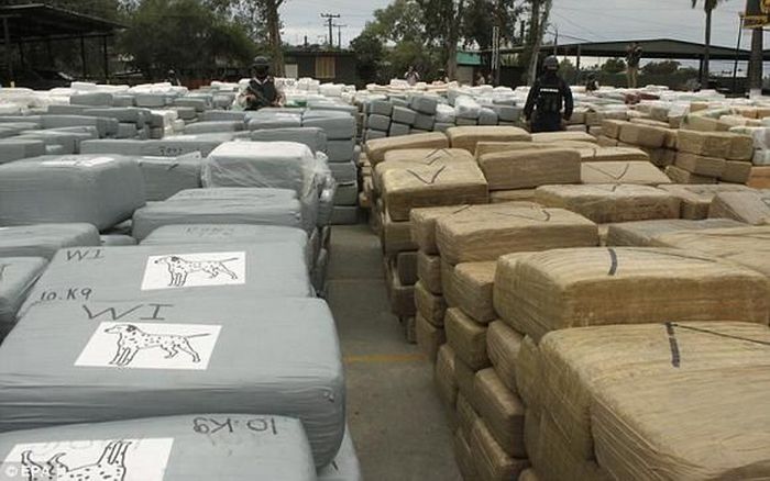 В Мексике изъята партия марихуаны весом в 105 тонн (10 фото)